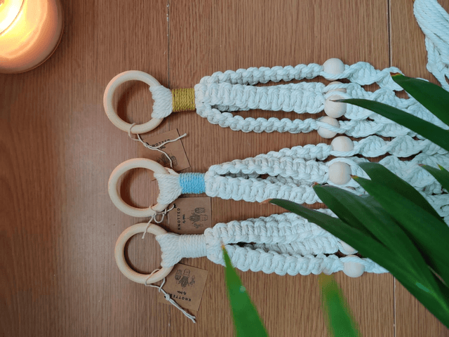 pop plant hanger